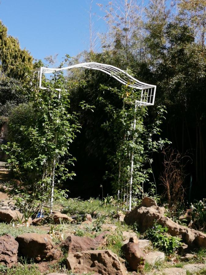 Lucolo Palace B&B אליוואל נורת' מראה חיצוני תמונה